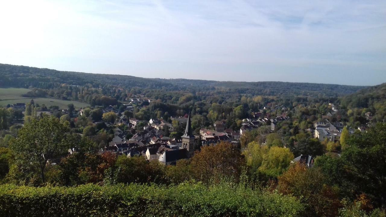 Gite Dans Un Domaine Historique Chevreuse Bagian luar foto